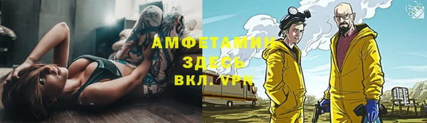 2c-b Бородино
