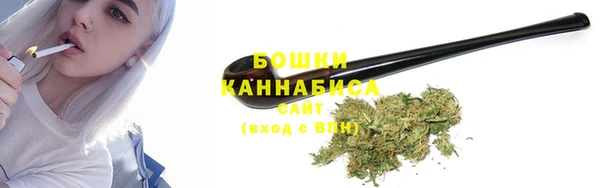 гидра Бронницы