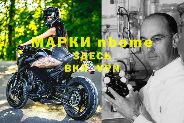 гидра Бронницы
