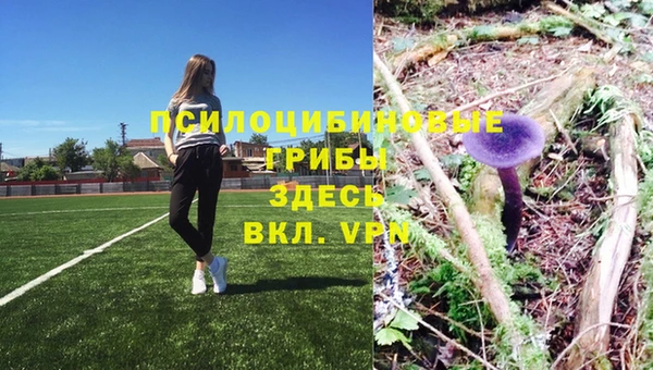 меф VHQ Богданович