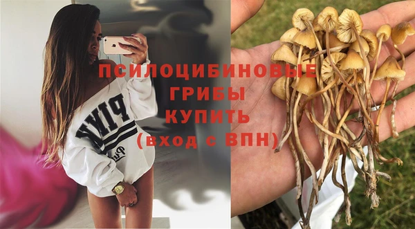 Альфа ПВП Богородск